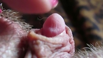 Intense Close-Up Of My Throbbing Clit Head