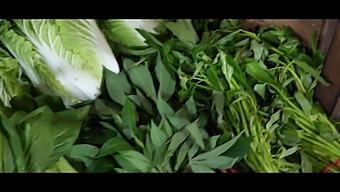 Exclusive Asian Pov Experience In Bali With Luna